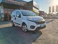 Fiat Qubo 1.3 MJT 80 CV Lounge Biały - thumbnail 1