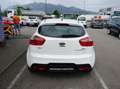 Kia Rio Attract Weiß - thumbnail 5
