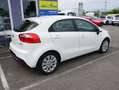 Kia Rio Attract Weiß - thumbnail 6