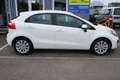 Kia Rio Attract Weiß - thumbnail 7