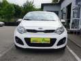 Kia Rio Attract Weiß - thumbnail 2