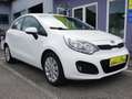 Kia Rio Attract Weiß - thumbnail 1