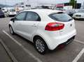Kia Rio Attract Weiß - thumbnail 4