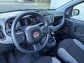 Fiat Panda Panda 1.0 firefly hybrid City Life s&s 70cv 5p.ti Grau - thumbnail 21