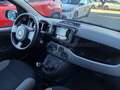 Fiat Panda Panda 1.0 firefly hybrid City Life s&s 70cv 5p.ti Grau - thumbnail 7