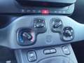Fiat Panda Panda 1.0 firefly hybrid City Life s&s 70cv 5p.ti Grau - thumbnail 10