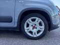 Fiat Panda Panda 1.0 firefly hybrid City Life s&s 70cv 5p.ti Grau - thumbnail 6