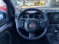 Fiat Panda Panda 1.0 firefly hybrid City Life s&s 70cv 5p.ti Grau - thumbnail 22