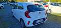 Kia Picanto Picanto 1.0 12V GPL 5 porte Urban Weiß - thumbnail 5