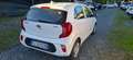 Kia Picanto Picanto 1.0 12V GPL 5 porte Urban Weiß - thumbnail 3