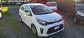Kia Picanto Picanto 1.0 12V GPL 5 porte Urban Weiß - thumbnail 6