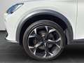 CUPRA Formentor VZ 2.0TSI VZ MATRIX-LED WINTER-PAKET Weiß - thumbnail 8