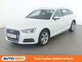Audi A4 1.4 TFSI ACT Sport Weiß - thumbnail 1