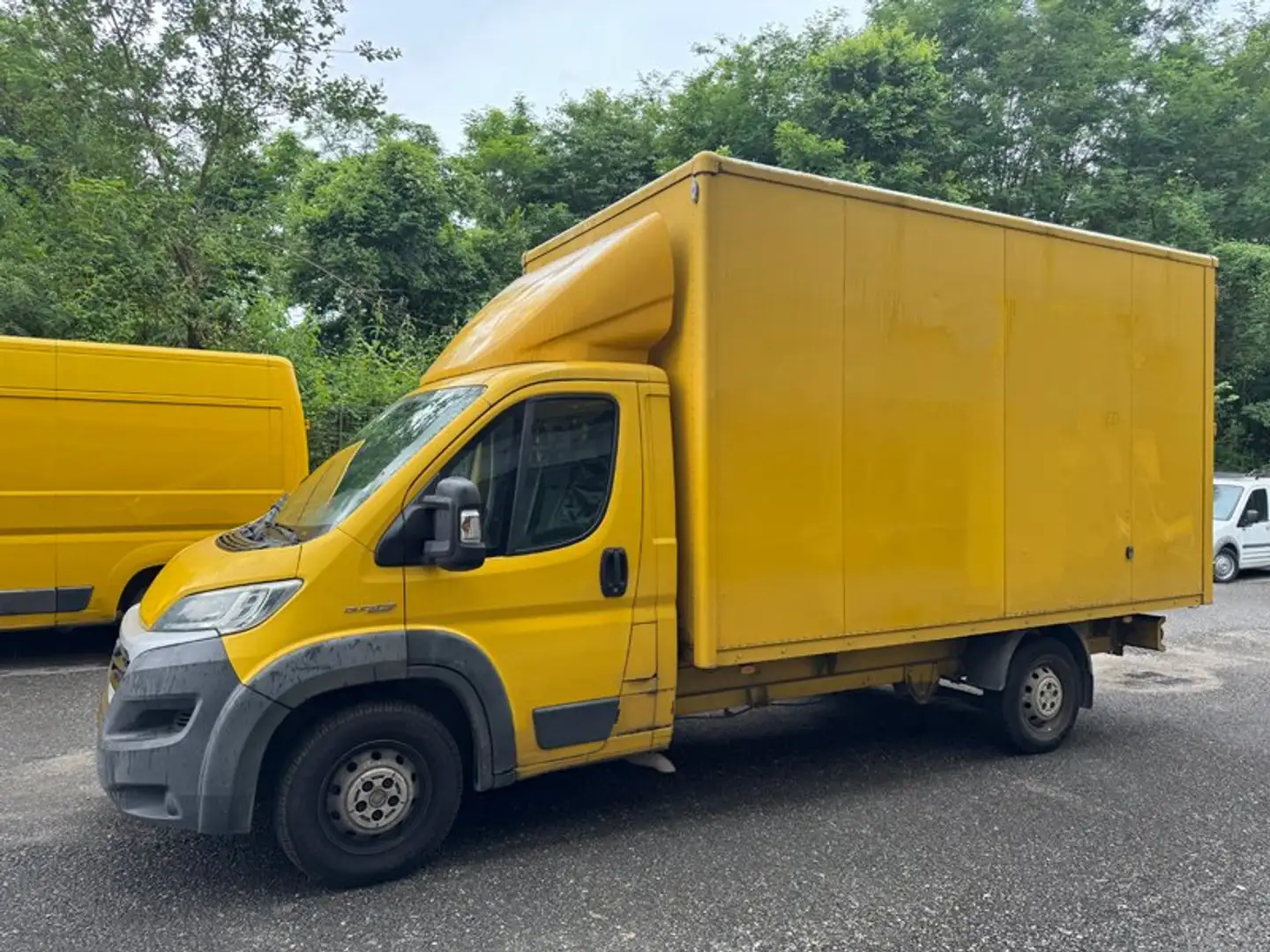 Fiat Ducato 2.3MTJ 130cv Cassonato 8 bancali 2017 - 1