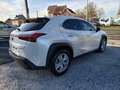 Lexus UX 250h AUTOMAAT / Hybrid / DAB / Camera / Adaptieve Cr... Blanco - thumbnail 3