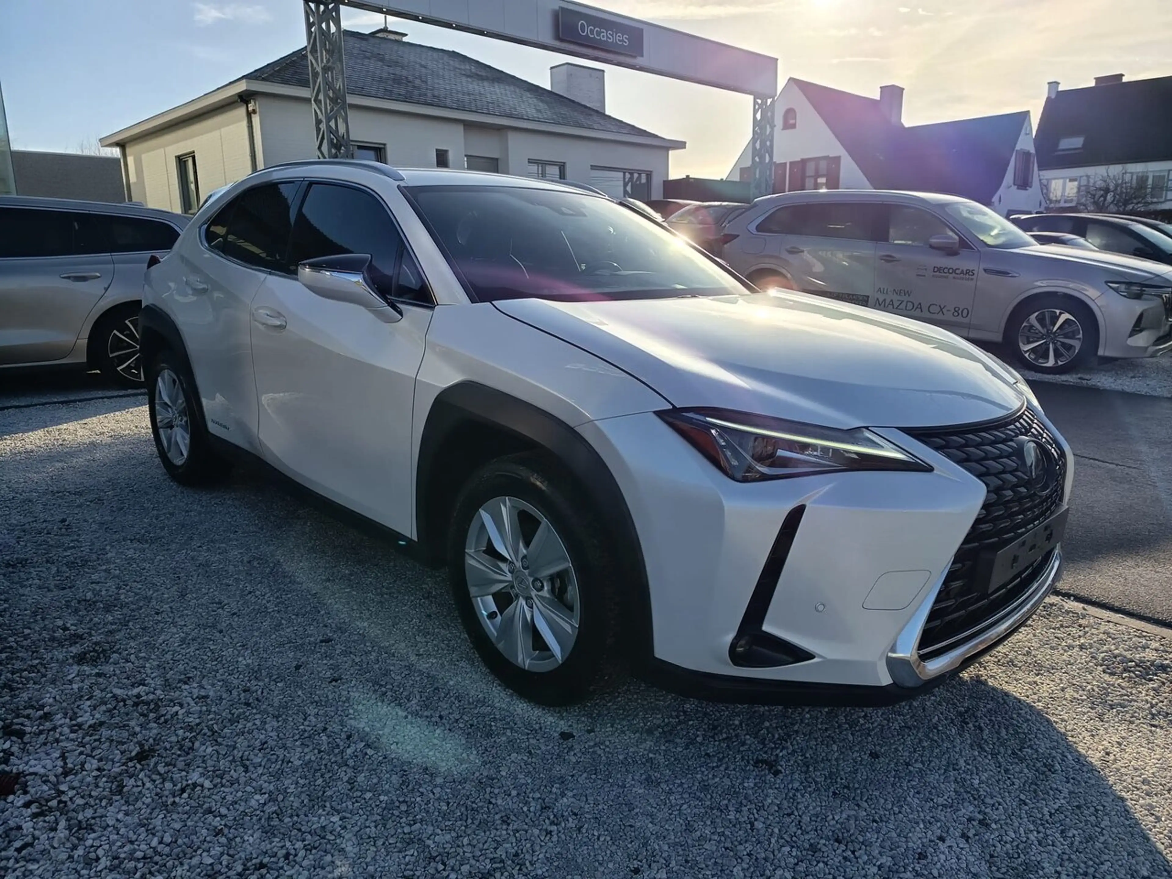 Lexus UX 250h AUTOMAAT / Hybrid / DAB / Camera / Adaptieve Cr... — photo 5
