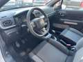 Citroen C3 3ª serie PureTech 83 S&S Shine Beige - thumbnail 13