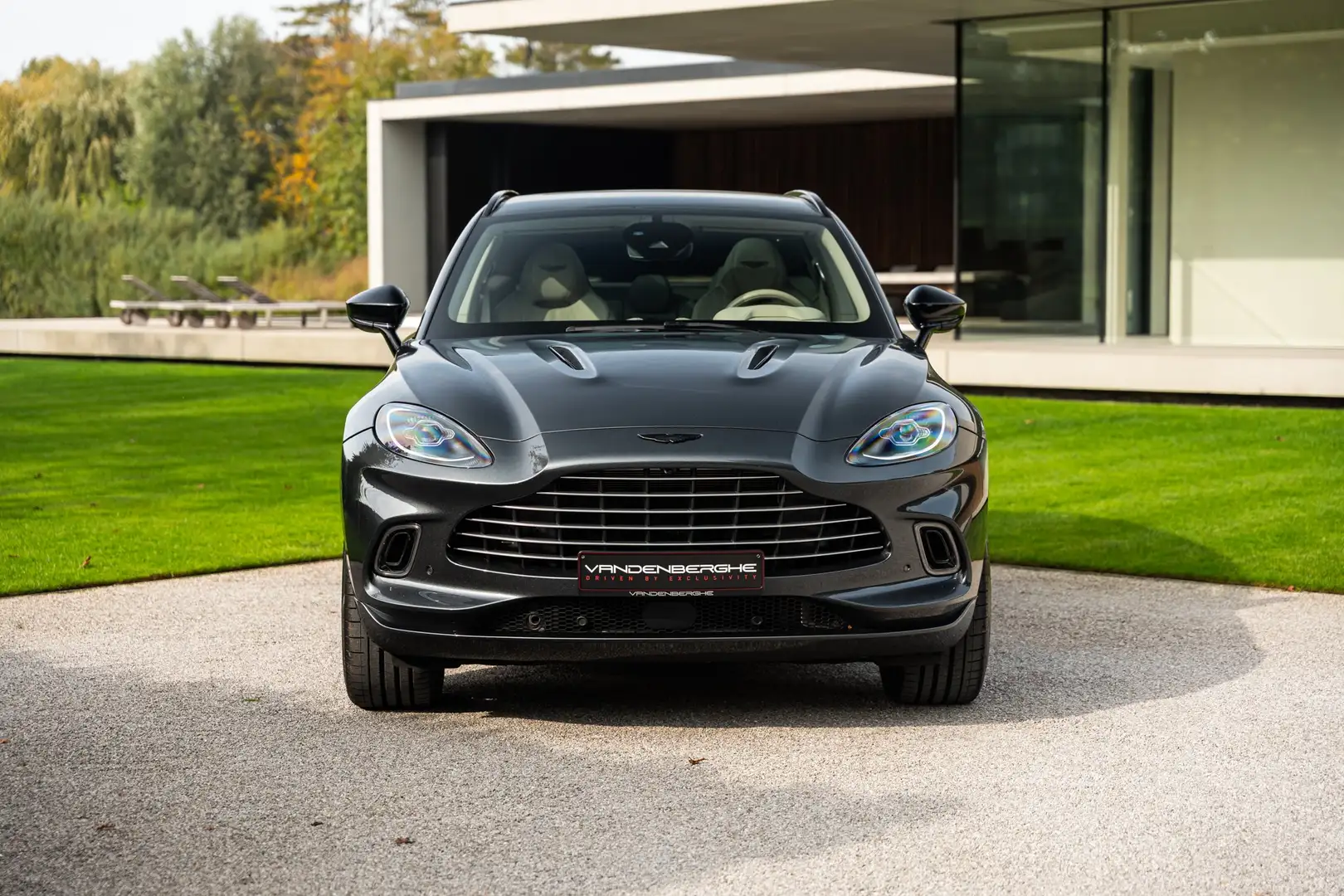 Aston Martin DBX DBX Серый - 2