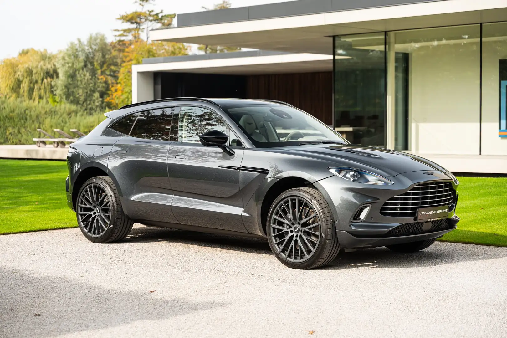 Aston Martin DBX DBX Серый - 1