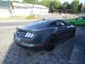 Ford Mustang 5.0 V8 Autom. GT Coupe +Magneride+Premiumpaket II Gri - thumbnail 6