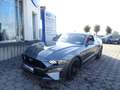 Ford Mustang 5.0 V8 Autom. GT Coupe +Magneride+Premiumpaket II Grijs - thumbnail 1