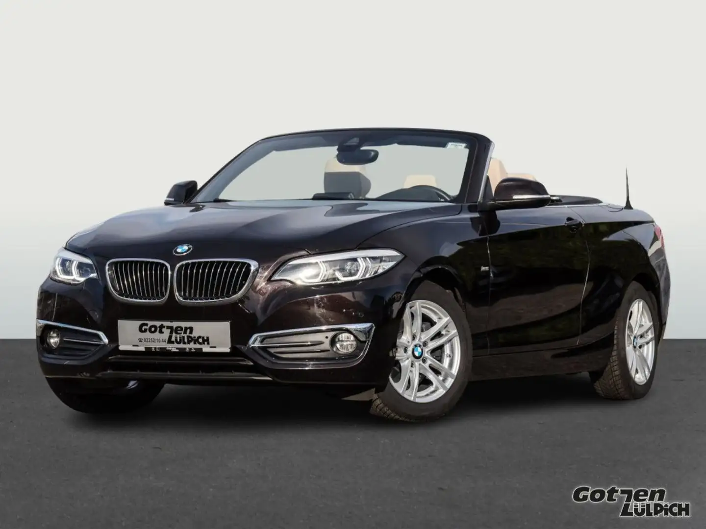 BMW 220 LUXURY LINE Navi Leder LED PDC KAMERA Klima Braun - 2