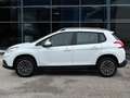 Peugeot 2008 1.4 DIESEL 68 CV  ADATTA NEOPATENTATI Bianco - thumbnail 7