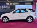 Mercedes-Benz ML 320 CDI 4MATIC Sportpaket Airmatic BiXenon 20 Weiß - thumbnail 9