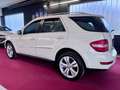 Mercedes-Benz ML 320 CDI 4MATIC Sportpaket Airmatic BiXenon 20 Weiß - thumbnail 8