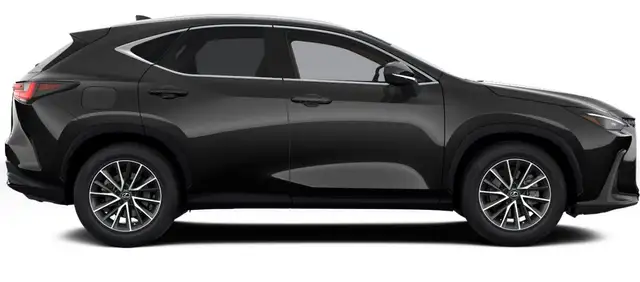Lexus NX view 5
