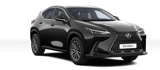 Lexus NX view 4