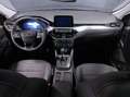 Ford Kuga 1.5 EcoBoost 150 CV 2WD Titanium Blu/Azzurro - thumbnail 14
