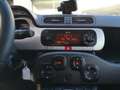 Fiat Panda CROSS 1,2l 69PS Weiß - thumbnail 9