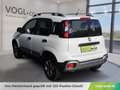 Fiat Panda CROSS 1,2l 69PS Weiß - thumbnail 3