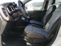 Fiat Panda CROSS 1,2l 69PS Weiß - thumbnail 5