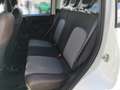 Fiat Panda CROSS 1,2l 69PS Weiß - thumbnail 10