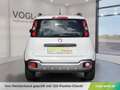Fiat Panda CROSS 1,2l 69PS Weiß - thumbnail 7