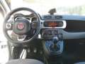 Fiat Panda CROSS 1,2l 69PS Weiß - thumbnail 4