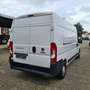 Fiat Ducato KaWa 2.3 L4H2 140 PS 2,3 Weiß - thumbnail 2