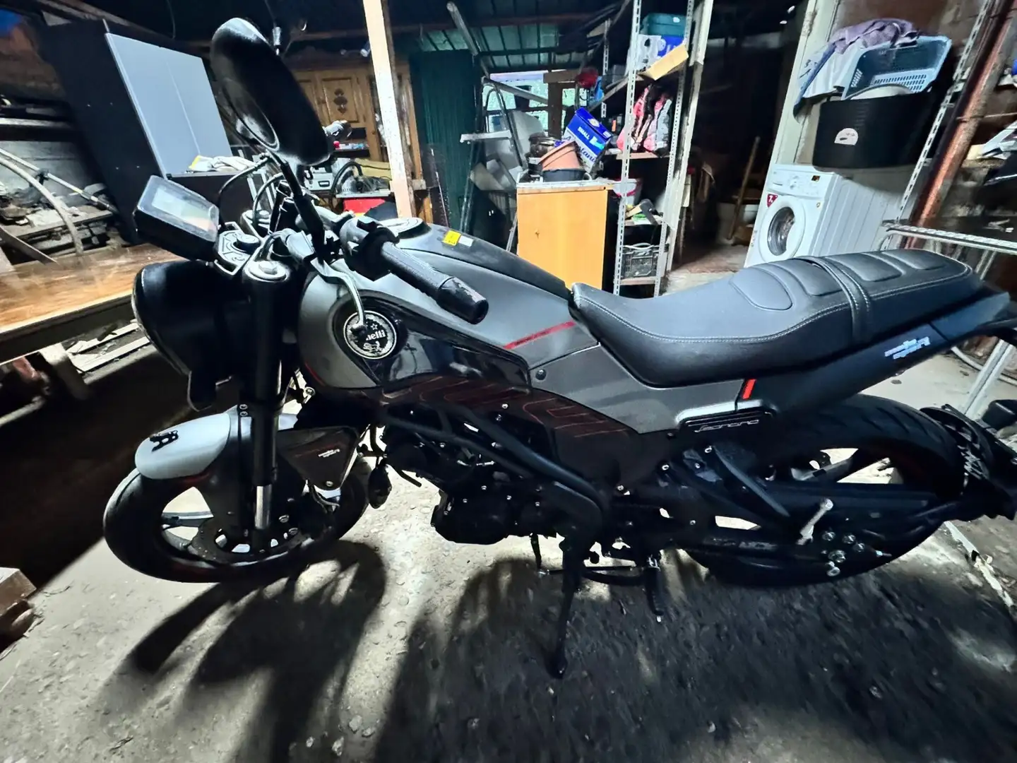 Benelli Leoncino Grigio - 2