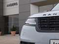 Land Rover Range Rover Velar D300 Dynamic SE B-Pack W-Pack Grau - thumbnail 17