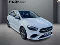 Mercedes-Benz B 220 AMG Line 4M KeyGo|MBeam|S-Dach|TWA|AHK|SHD Weiß - thumbnail 5