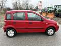 Fiat Panda 1,1 / Neues Pickerl / Klimaanlage - thumbnail 10