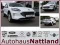 Ford Kuga 2 Sitzer Titanium X Autom. RFK Navi LED B&O Wit - thumbnail 1