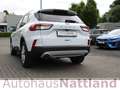 Ford Kuga 2 Sitzer Titanium X Autom. RFK Navi LED B&O Wit - thumbnail 6