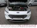 Ford Kuga 2 Sitzer Titanium X Autom. RFK Navi LED B&O Wit - thumbnail 14