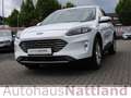 Ford Kuga 2 Sitzer Titanium X Autom. RFK Navi LED B&O Wit - thumbnail 3