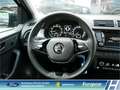 Skoda Fabia Combi Best of Navi Soundsystem LED 1.Hand  Car Pla Schwarz - thumbnail 14