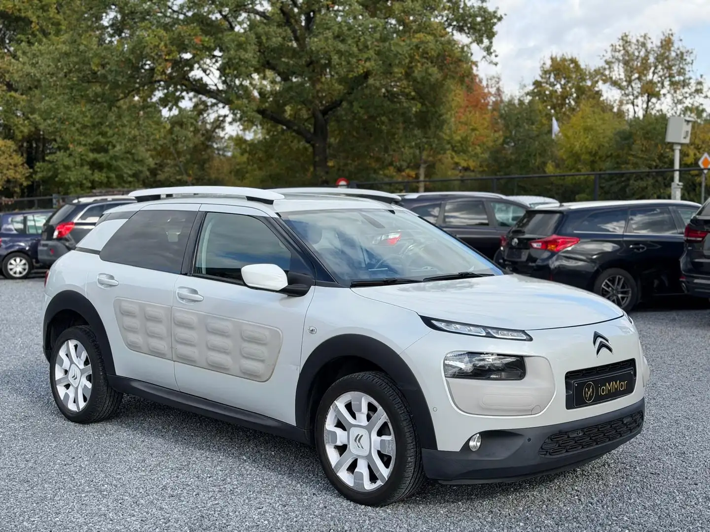 Citroen C4 Cactus C4 Cactus Pure Tech 110 Stop Blanc - 2