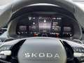 Skoda Kamiq 1.0 TSI DSG Selection LED+ACC+Kamera+App+C Silber - thumbnail 10